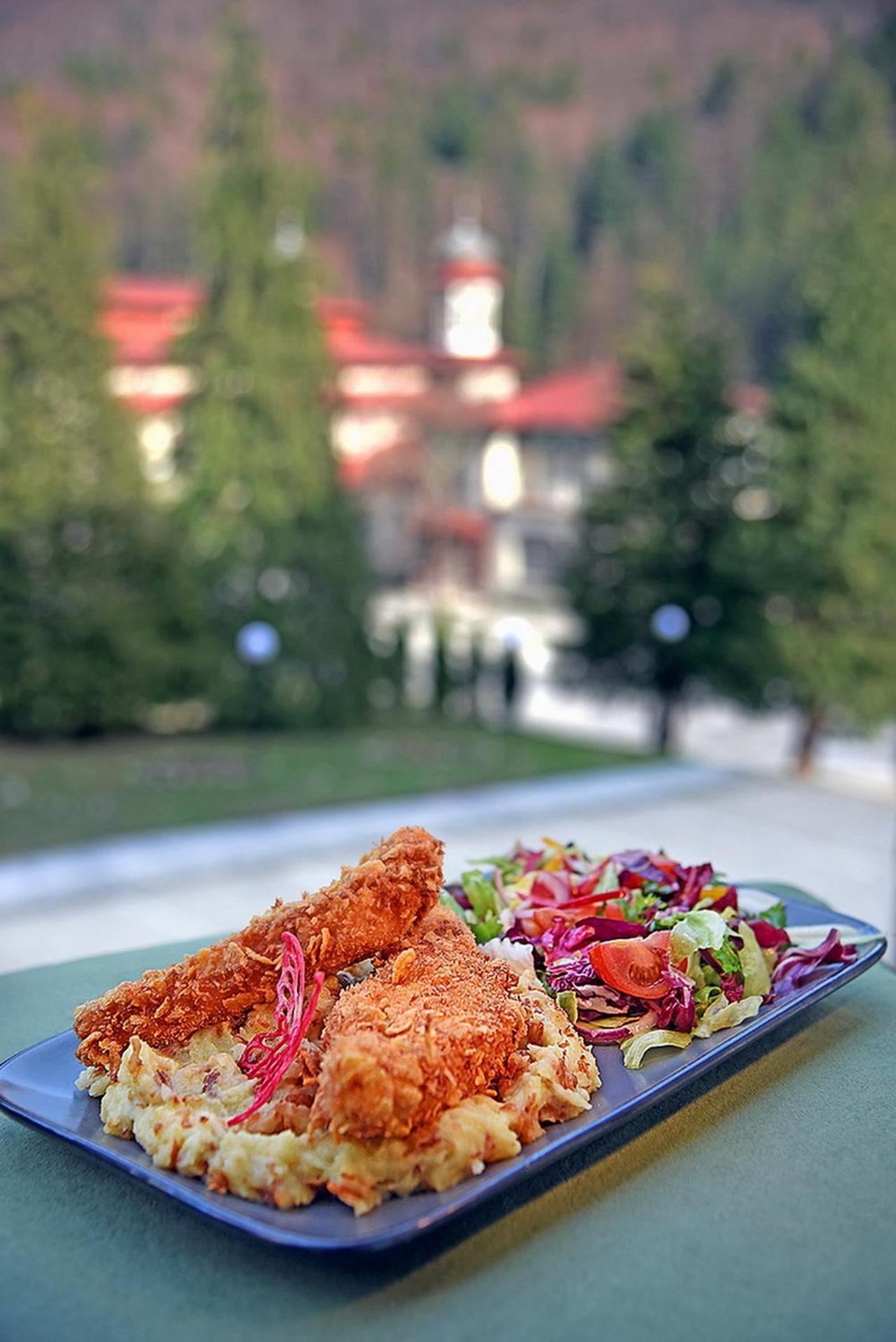 Hotel Moldavia 斯兰默多瓦 外观 照片